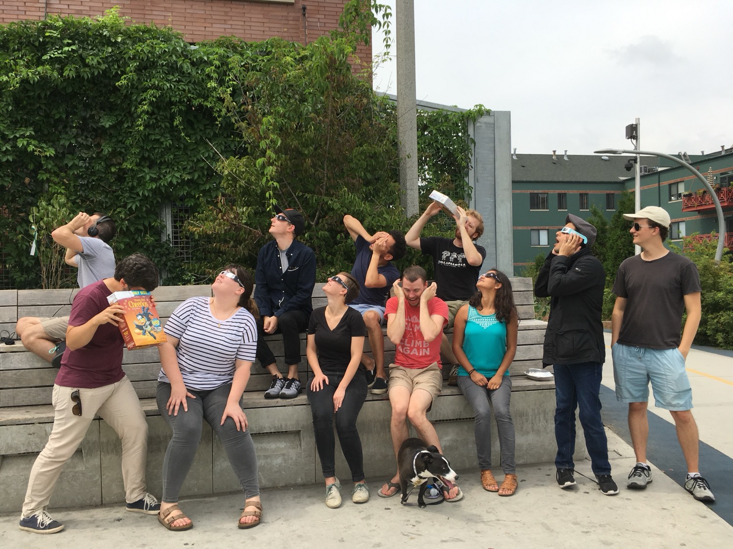The Made In Tandem team outside watching a solar eclipse together, some in eclipse glasses and others using cereal-box pinhole viewers, with the team dog in front