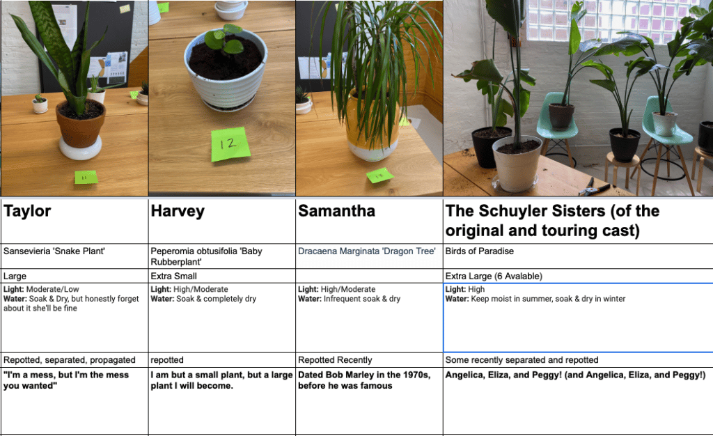 Screenshot of plants with names, 'tinder bios,' and other details
